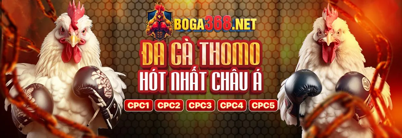 Chương trình VIP